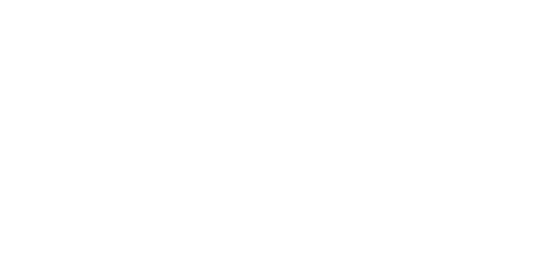 LOGO BADMINTON ACADÉMIE